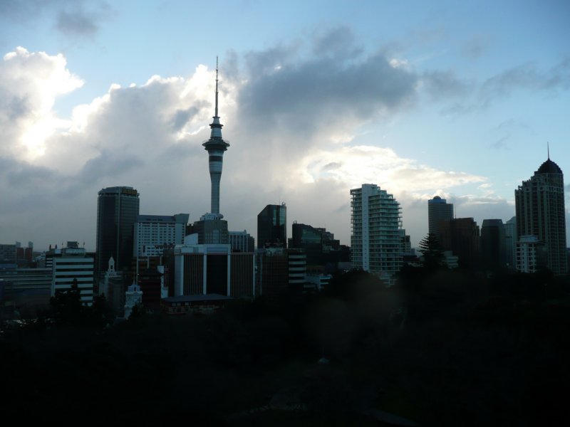 auckland208.jpg