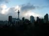 auckland208_small.jpg