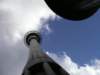 auckland224skytower_small.jpg