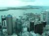 auckland225skytower_small.jpg