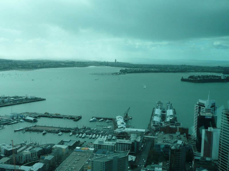 auckland228skytower.jpg