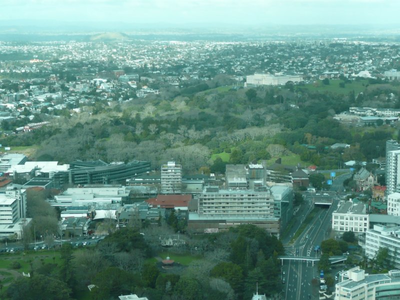 auckland230skytower.jpg