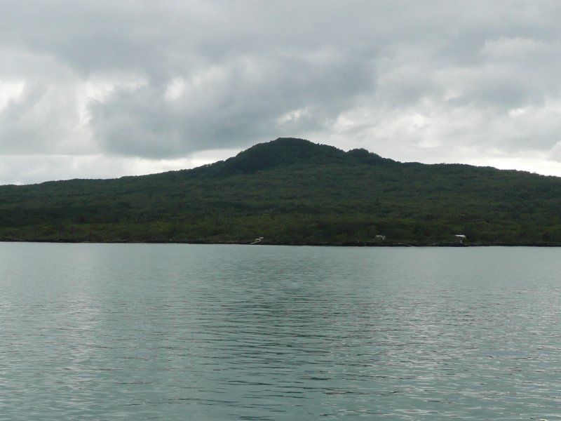 auckland233rangitotoisland.jpg