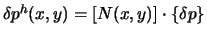 $\textstyle \delta p^{h}(x,y)=\left[N(x,y)\right] \cdot \{\delta p\}$