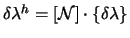 $\textstyle \delta \lambda^{h}=\left[\mathcal{N} \right] \cdot \{\delta \lambda\}$