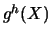 \(g^{h}(X)\)
