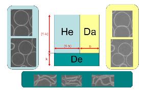 Phenomenological model
