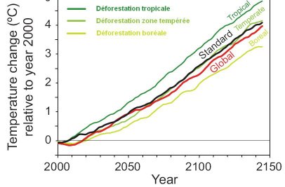 modèle de l'impact de la déforestation sur les températures